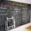 IMG 20250213 134213
