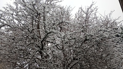 IMG 20251123 152650 HDR