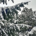 IMG 20251123 152710 HDR